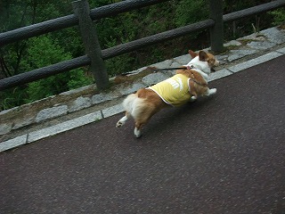 2011_0523森林公園にて0006.jpg