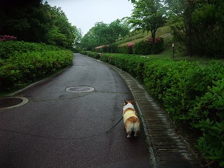 2011_0523森林公園にて0010.jpg