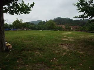 2011_0523森林公園にて0011.jpg