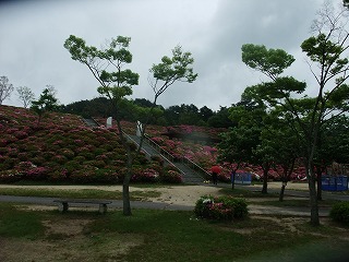 2011_0523森林公園にて0017.jpg