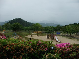 2011_0523森林公園にて0021.jpg