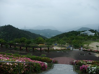 2011_0523森林公園にて0023.jpg