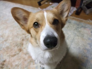 2011_05160002.jpg