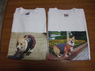 2011_06110002.jpg