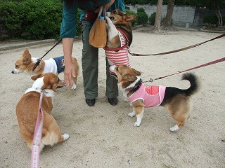 2011_0614散歩0004.jpg