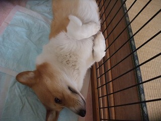 2011_06240005.jpg