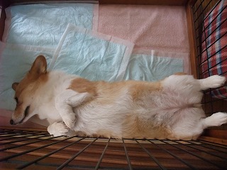 2011_06240006.jpg