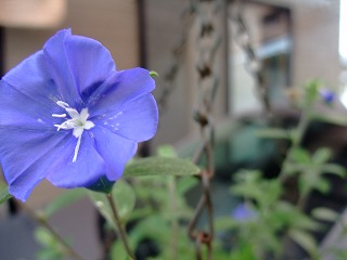 2011_0626動画あり0008.jpg