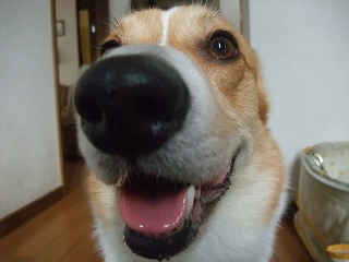 2011_0626動画あり0013.jpg