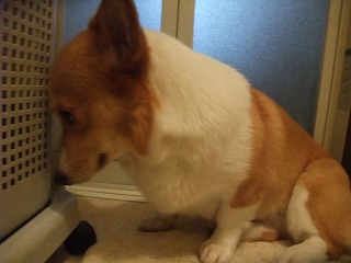 2011_07040007.jpg