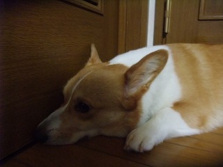 2011_07040012.jpg