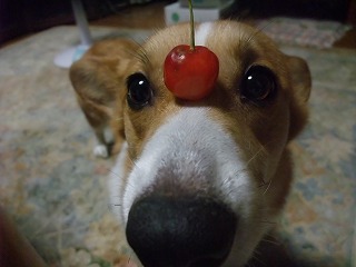 2011_0715動画あり0004.jpg