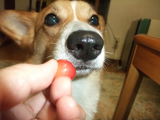 2011_0715動画あり0009.jpg