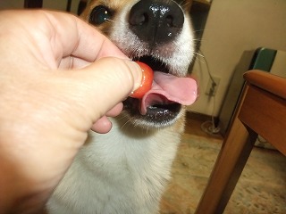 2011_0715動画あり0012.jpg