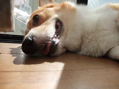 010.jpg