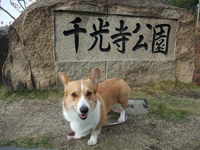 DSCF8635.jpg