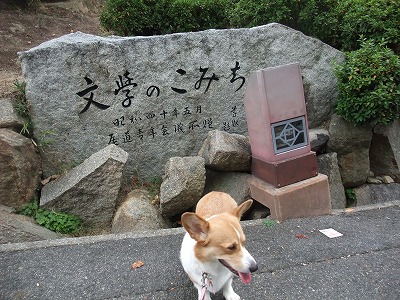 DSCF8620.jpg