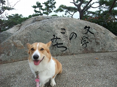 DSCF8610.jpg