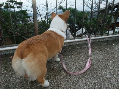 DSCF8617.jpg