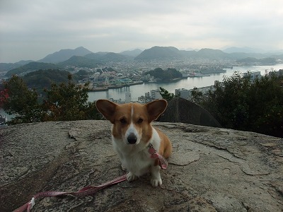 DSCF8622.jpg