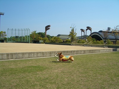 CIMG1341.jpg