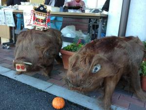いのしし
