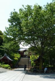 2012.05.28　奥　護国寺