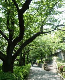 2012.05.28　江戸川橋公園
