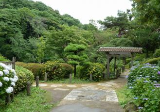 2012.06.23　入り口　新江戸川公園