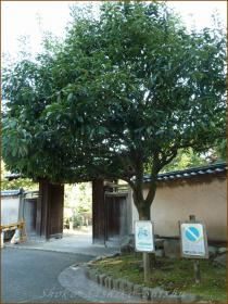 2012.10.27　入り口　江戸川橋公園