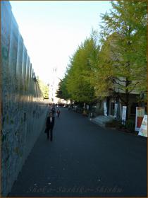 2012.10.29　通り　八一記念博物館