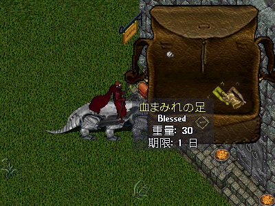 2013022301.jpg