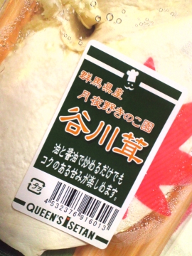 谷川茸1