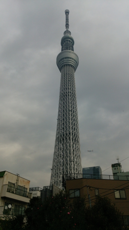 DSC_0010.jpg