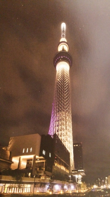 DSC_0015.jpg