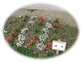 201211208.jpg
