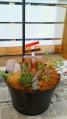 20130503120333.jpg