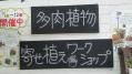 20130503121318.jpg