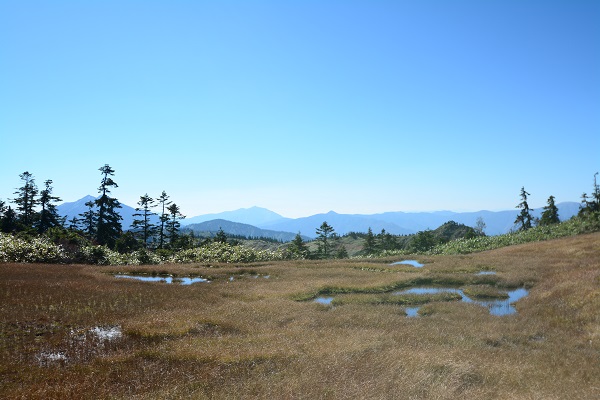 DSC_4631.jpg