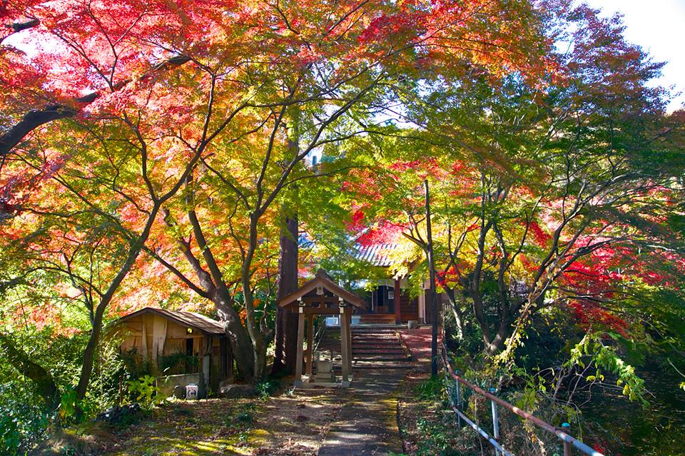 本経寺