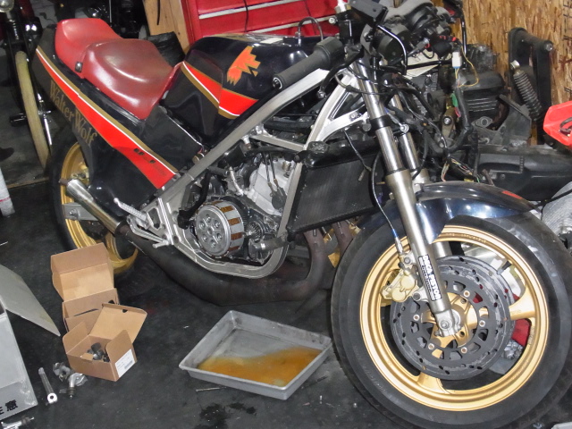 RG250.jpg