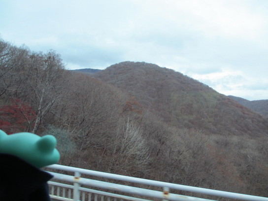 fukushima8