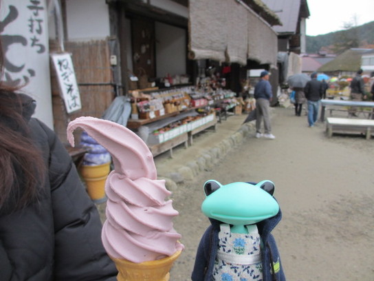 fukushima38