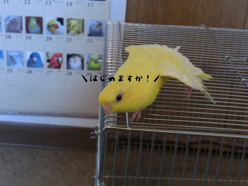 201311301.jpg
