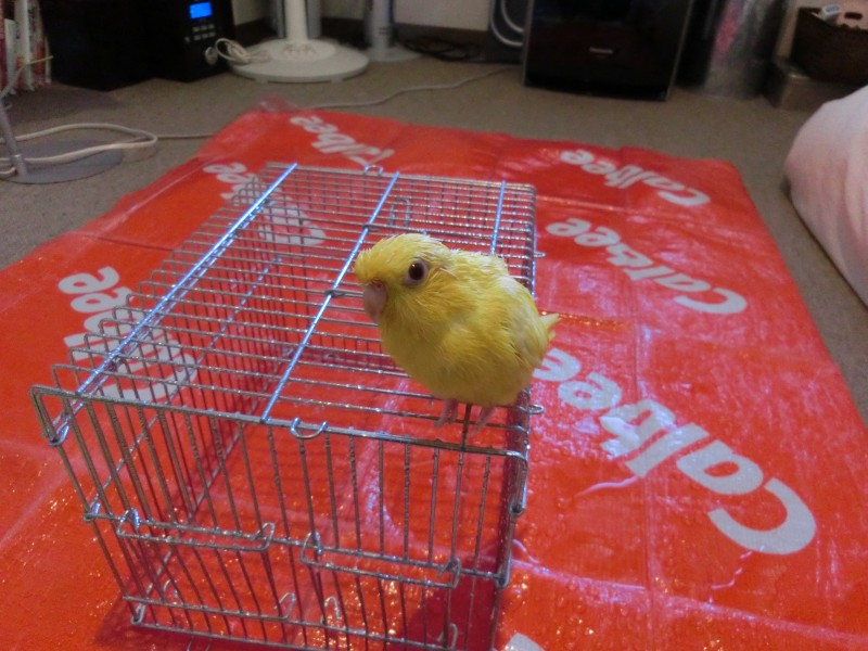 201311302.jpg
