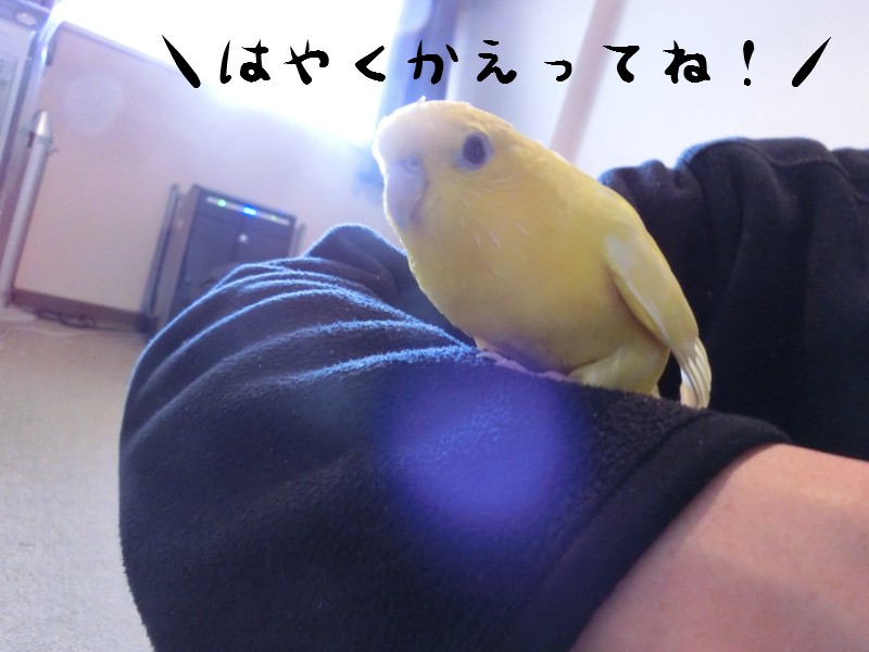20131183.jpg