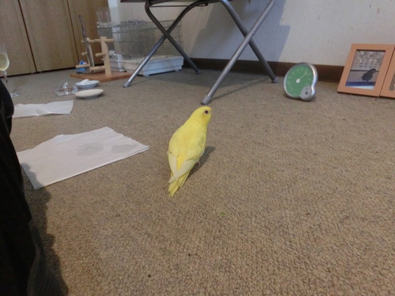 201410115.jpg