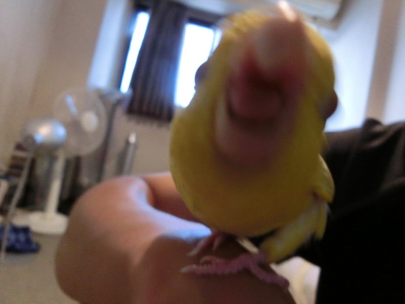 201410116.jpg