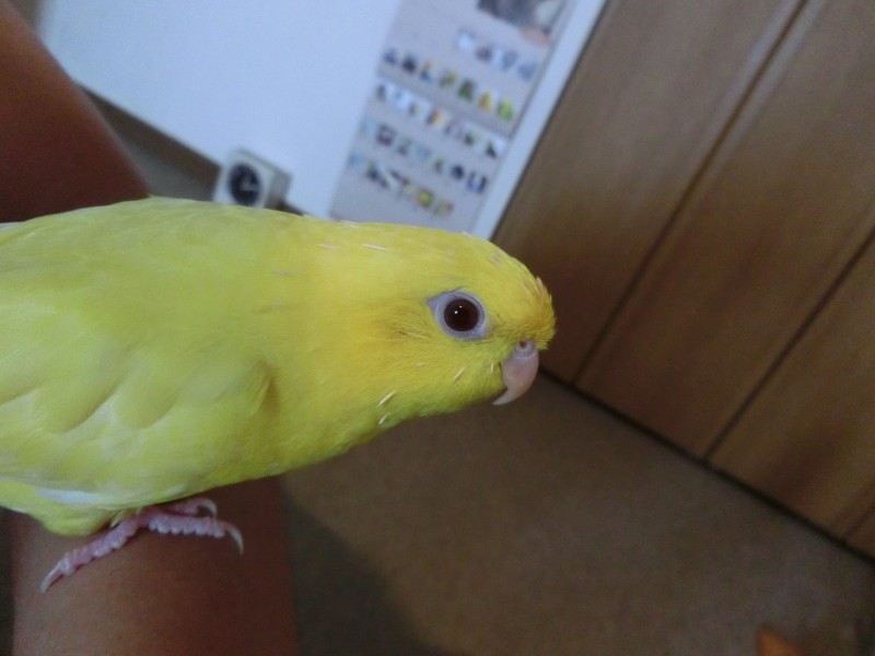 201410121.jpg