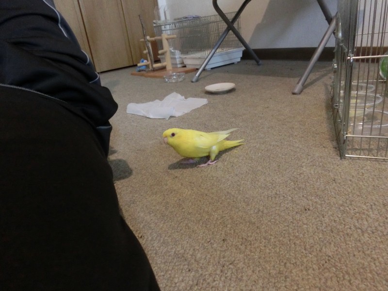 201410122.jpg